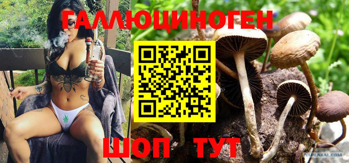 Псилоцибиновые грибы ЛСД Ипатово